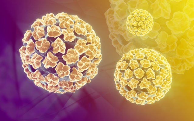 HPV-szűrés és tipizálás - vistus.lt